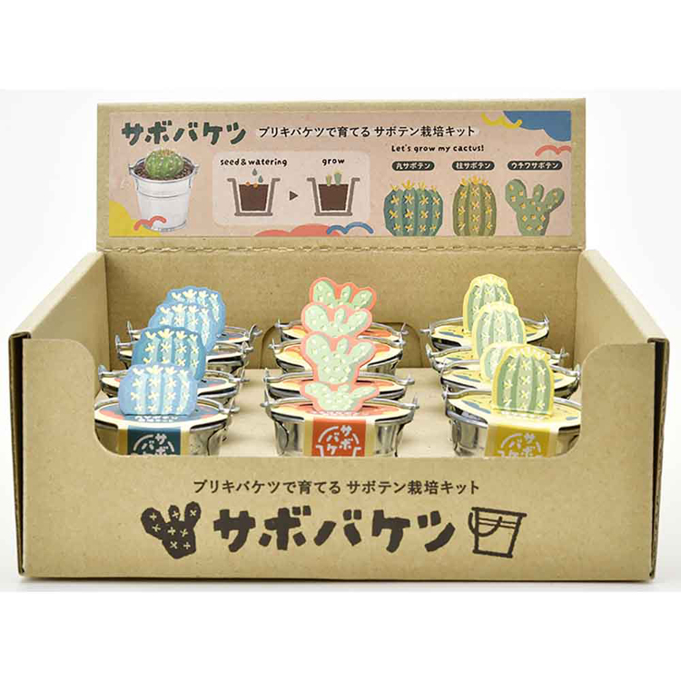 栽培キット栽培セットサボテン聖新陶芸SEISHINブリキ製バケツ種から育てるギフトサボバケツ栽培キット 