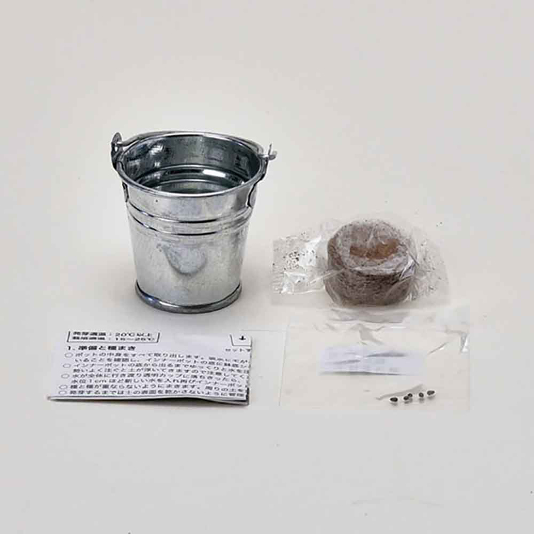 栽培キット栽培セットサボテン聖新陶芸SEISHINブリキ製バケツ種から育てるギフトサボバケツ栽培キット 