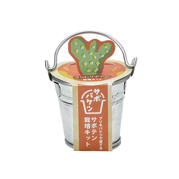 栽培キット 栽培セット サボテン 聖新陶芸 SEISHIN ブリキ製バケツ 種