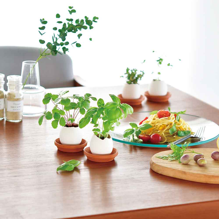 栽培キット栽培セットたまご型ポット聖新陶芸SEISHIN種から育てるegglingecoギフトエッグリングエコ 