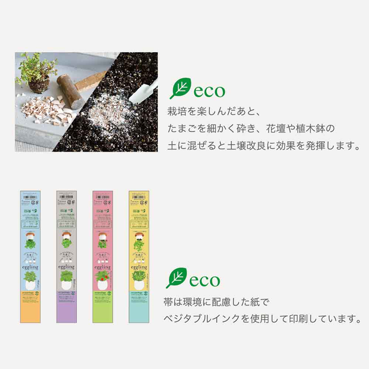 栽培キット栽培セットたまご型ポット聖新陶芸SEISHIN種から育てるegglingecoギフトエッグリングエコ 