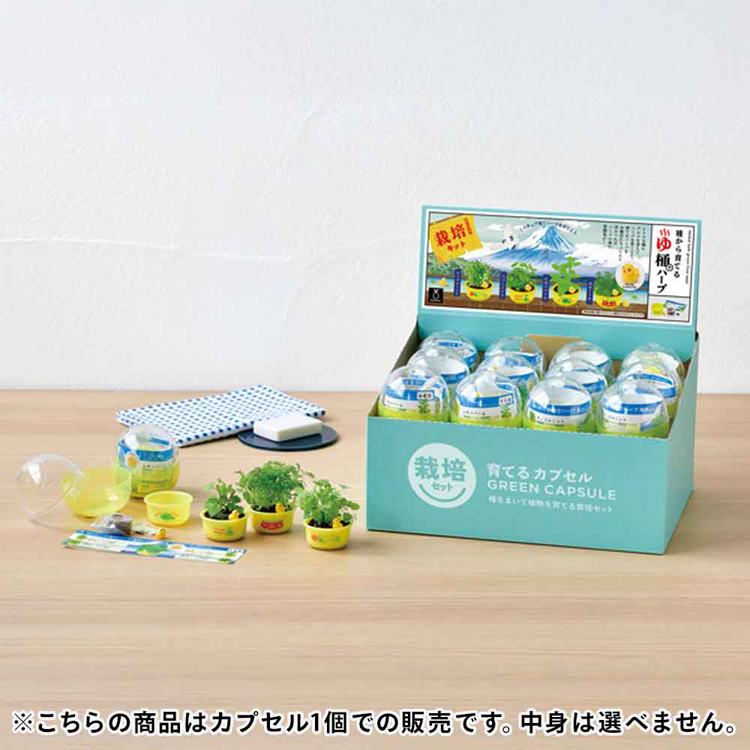 栽培キット 栽培セット ハーブ 聖新陶芸 SEISHIN ミニ湯桶 あひる