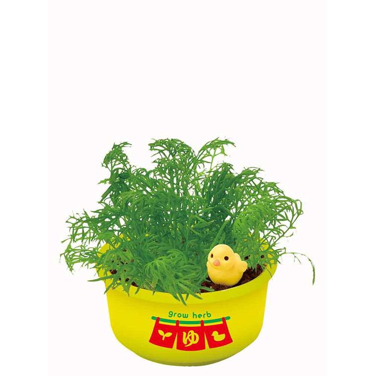 栽培キット 栽培セット ハーブ 聖新陶芸 SEISHIN ミニ湯桶 あひる