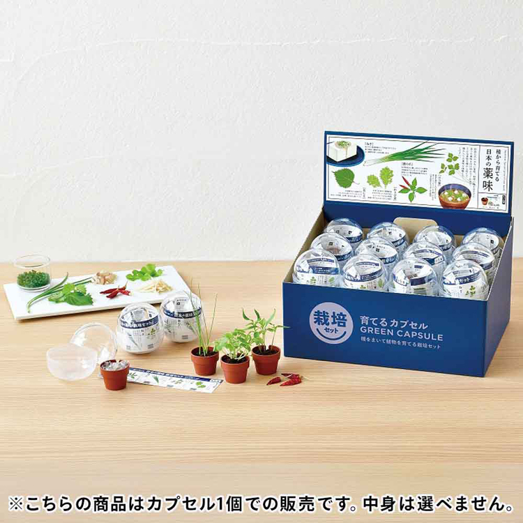 栽培キット栽培セット薬味聖新陶芸SEISHINやくみ青じそ三つ葉ねぎわさび菜鷹の爪ランダム育てるカプセル薬味 
