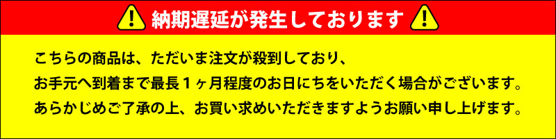 最長1ヶ月程度遅延