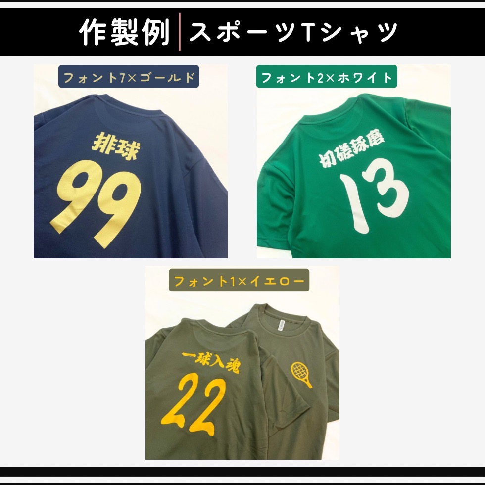 AnatomyTrains背骨の統合ハンズオンクラス全４枚トム・マイヤーズ AnatomyTrains背骨の統合ハンズオンクラス全4枚トム