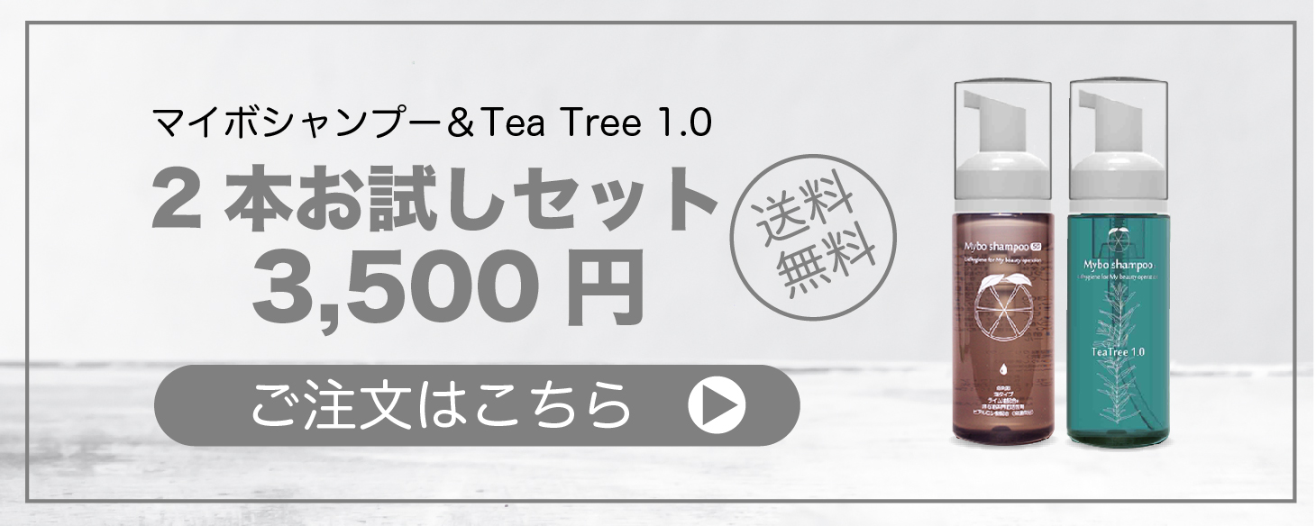 お得なお試しセット