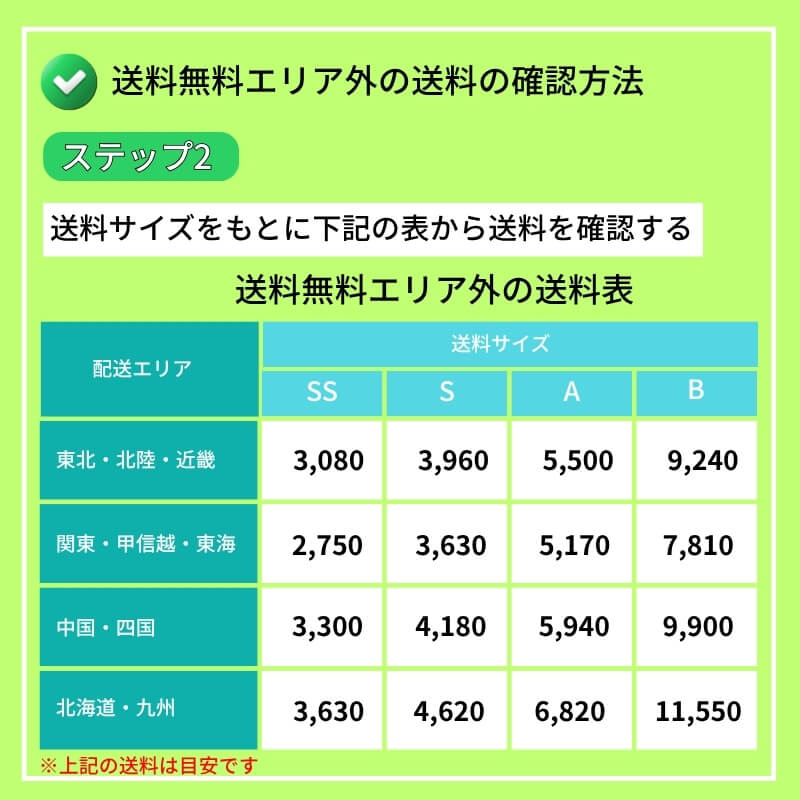 ネロ　送料分 ワケあり特価品】 (状態B) NEPROS NMS2L-1 インチサイズ1 ロング
