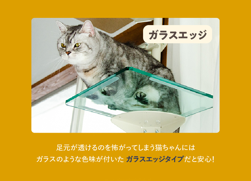 キャットタワー専用 アクリル棚板 (ガラスエッジ) 【ねこゴロン