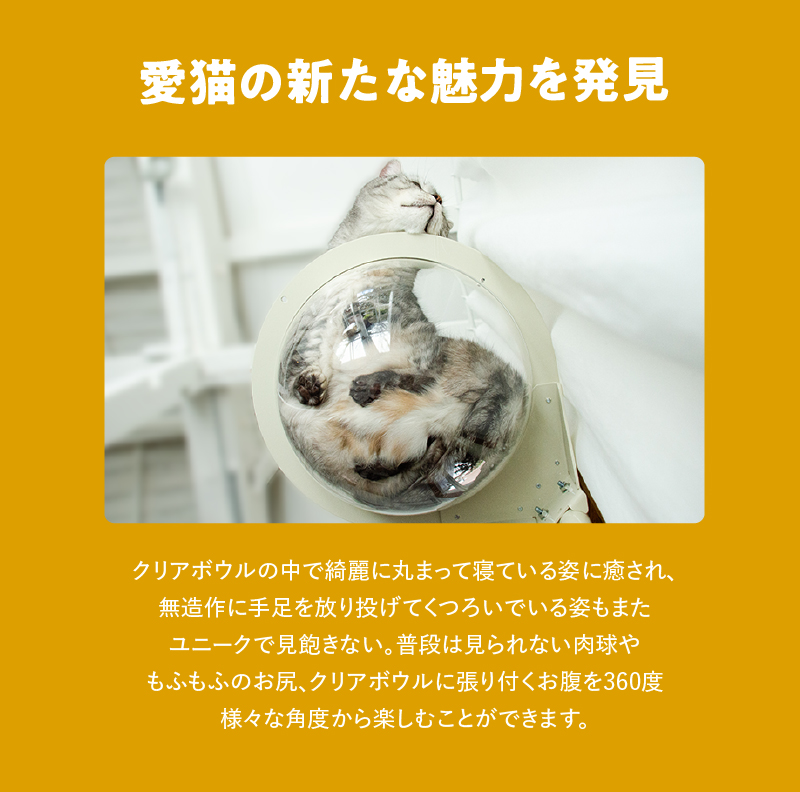 キャットタワー専用 クリアボウル【ねこゴロン オプション品