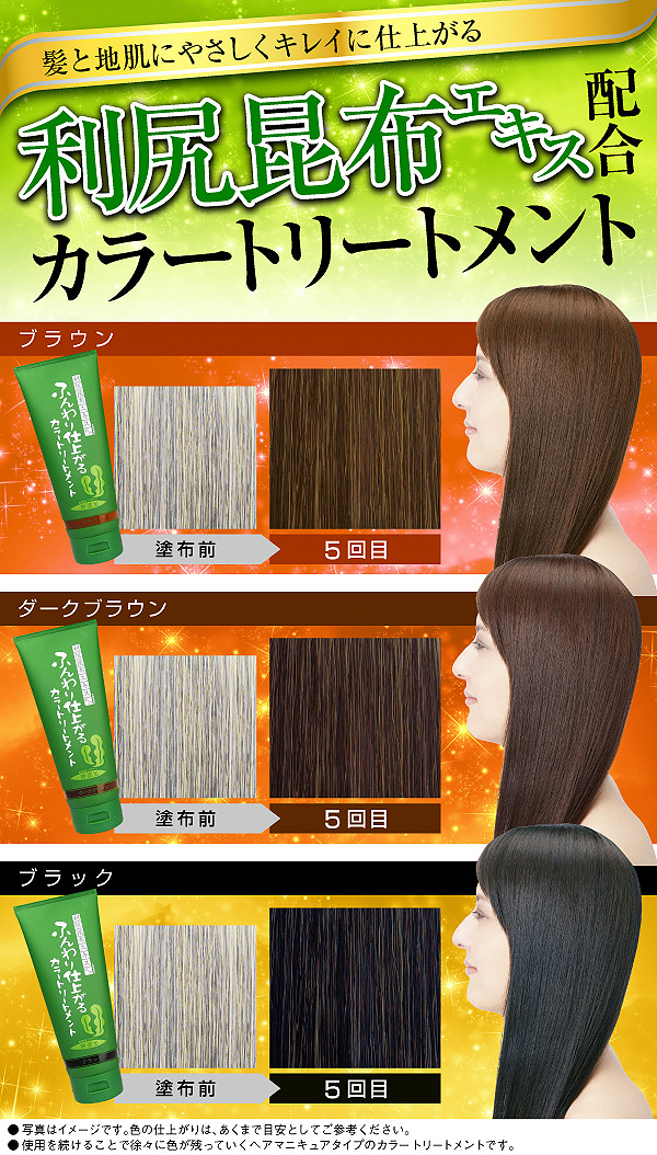 ふんわり仕上がる カラートリートメント 200g 利尻昆布 白髪染め