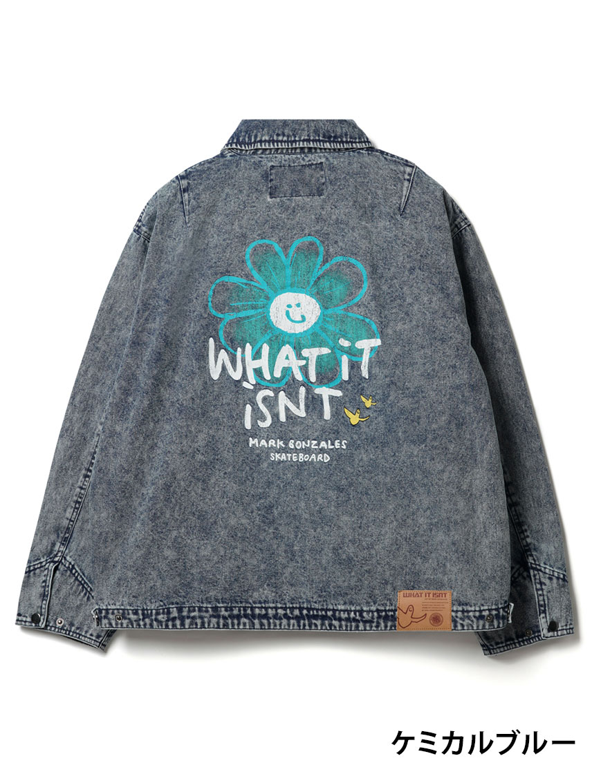 What it isNt）ART BY MARKGONZALES マークゴンザレス (What