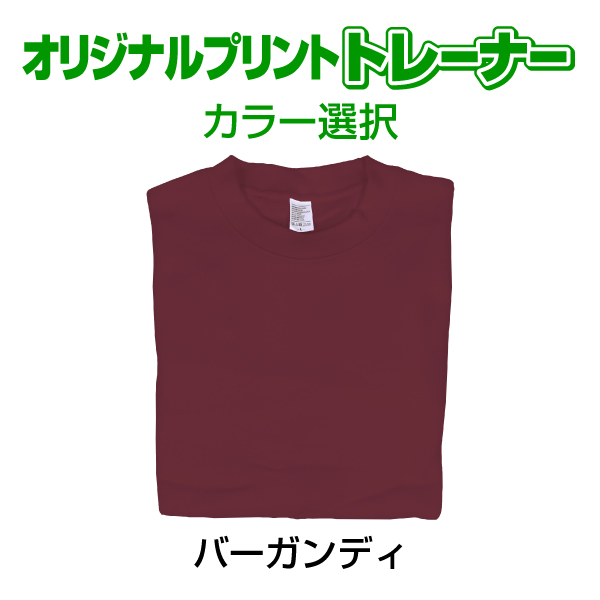 オリジナルプリントトレーナー カラー　写真 写メ スマホ 画像 作成 プリント 1枚から ペット 子供 ギフト 自作 プレゼント 6.2oz  とれーなー |  | 05