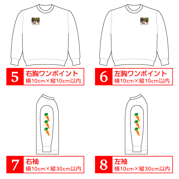 オリジナルプリントトレーナー カラー　写真 写メ スマホ 画像 作成 プリント 1枚から ペット 子供 ギフト 自作 プレゼント 6.2oz  とれーなー |  | 13
