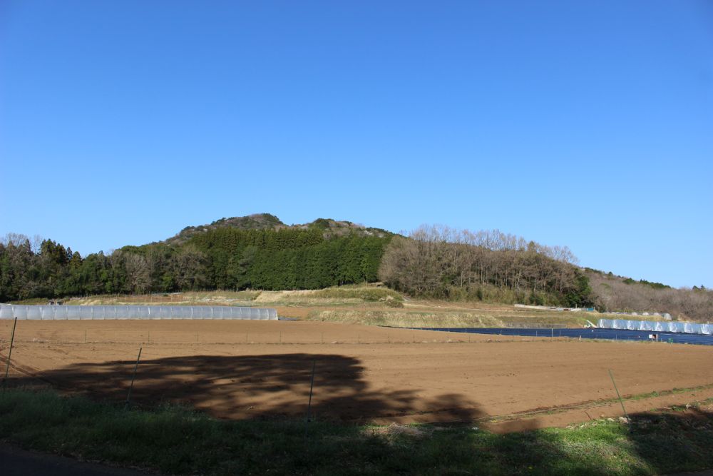 甘太くん 紅はるか べにはるか さつまいも 甘藷 大分県 臼杵市 野津町 吉四六の里