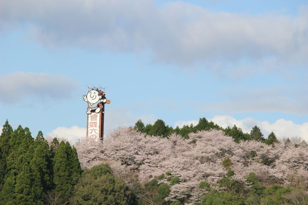甘太くん 紅はるか べにはるか さつまいも 甘藷 大分県 臼杵市 野津町 吉四六の里