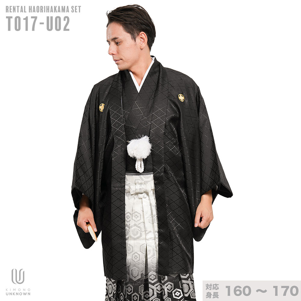 色留袖 身長153-170cm 三つ紋 it-053 remhs-t017-u02-89_1.jpg
