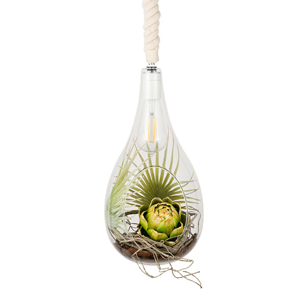Another Garden SWAN スワン電器 BOTANIC HANGING LIGHT with