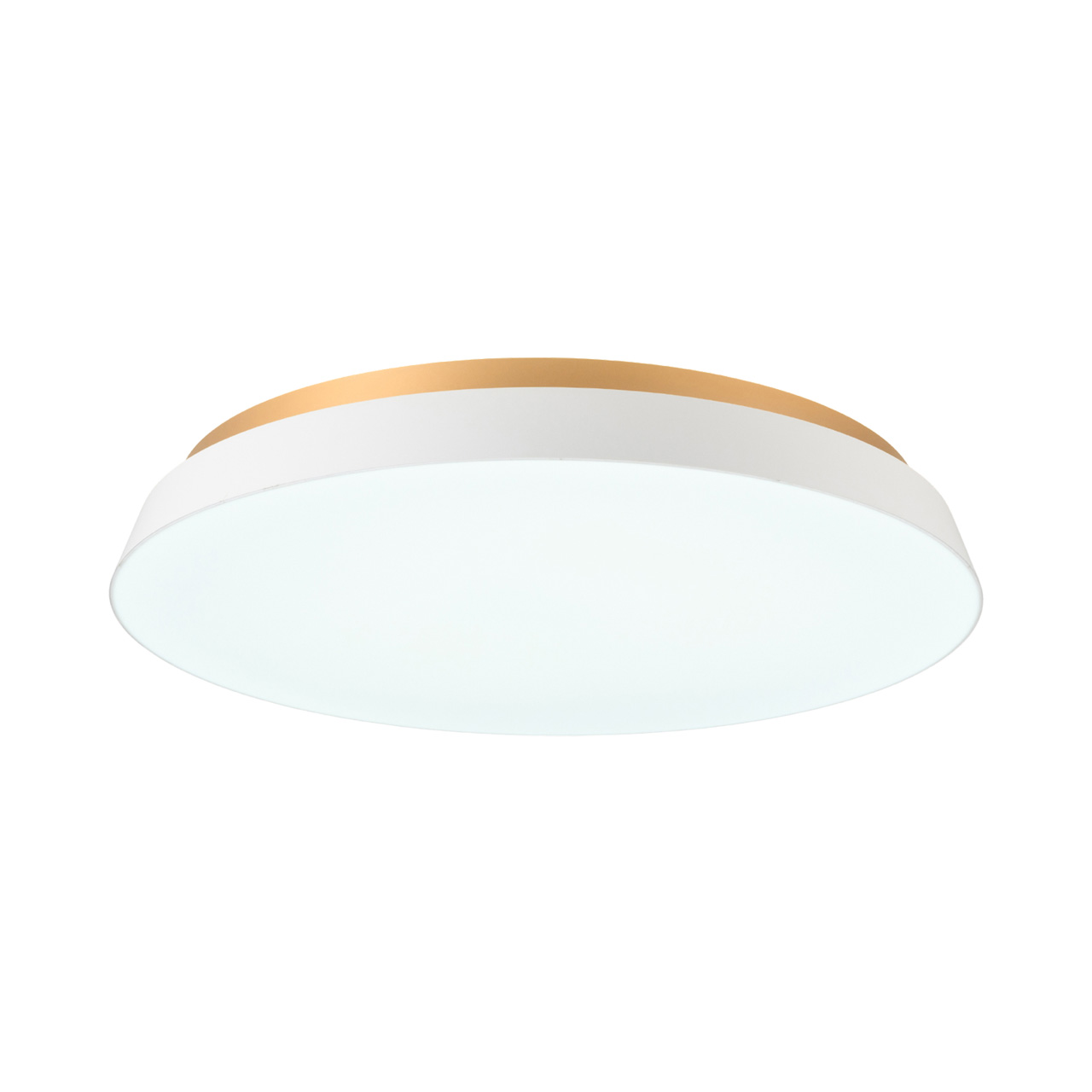 Another Garden SWAN スワン電器 TAIRA ceiling light タイラ