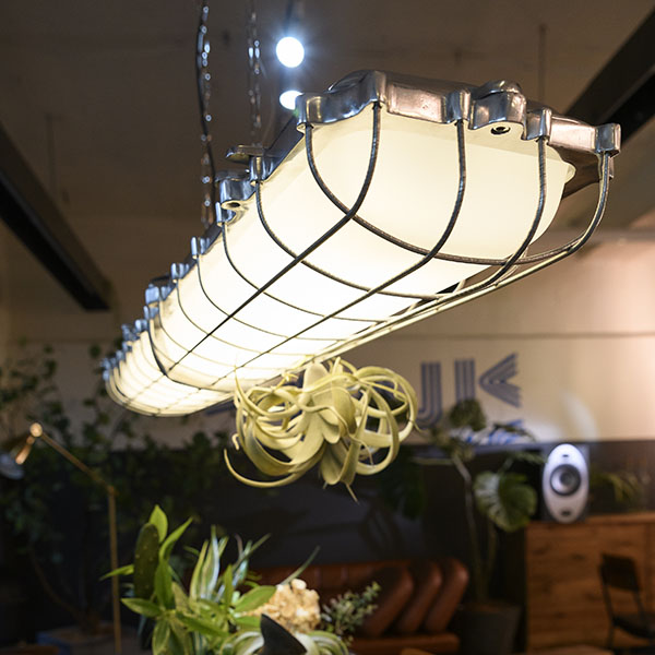 Another Garden SWAN スワン電器 Gauge Tube Lamp ゲージチューブ