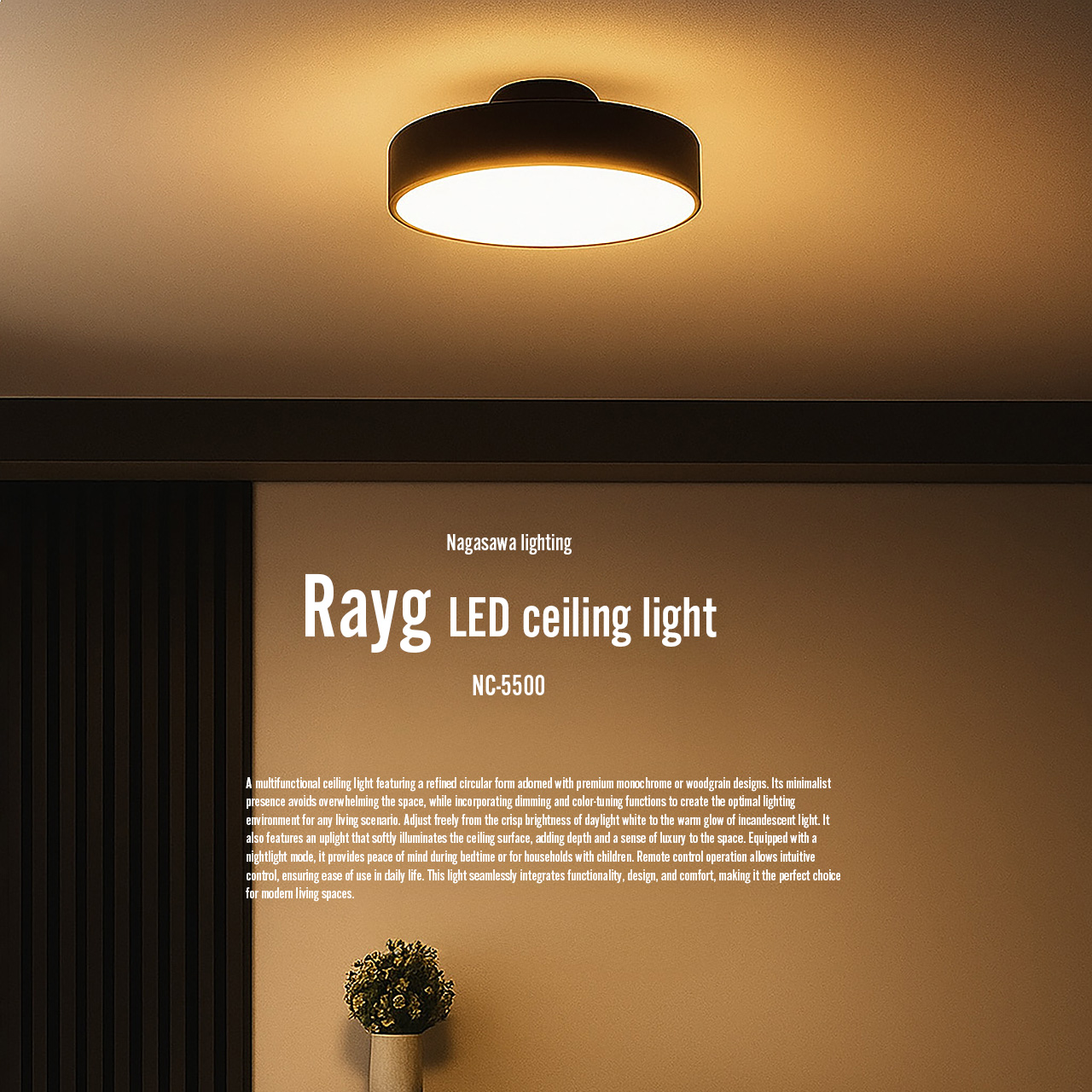 NAGASAWA Lighting 長澤ライティング Rayg レイグ LEDシーリングライト