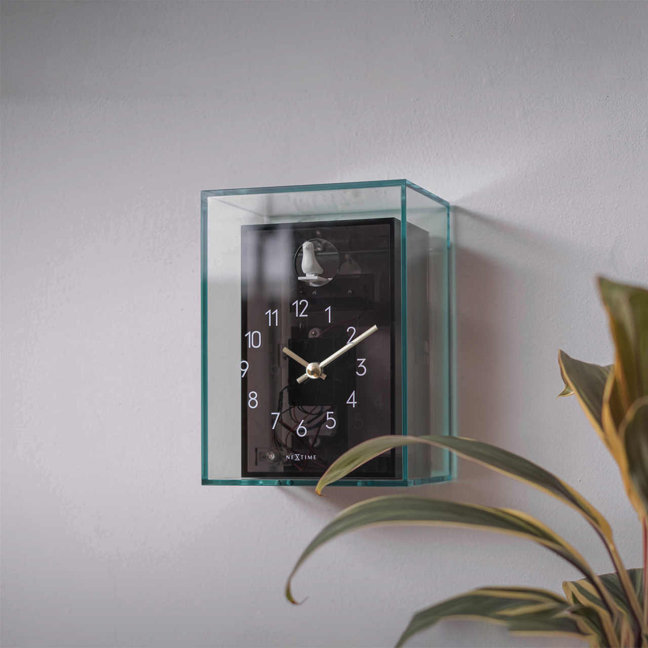 NEXTIME ネクスタイム Acrylic CucKoo アクリルカッコー (置・掛兼用