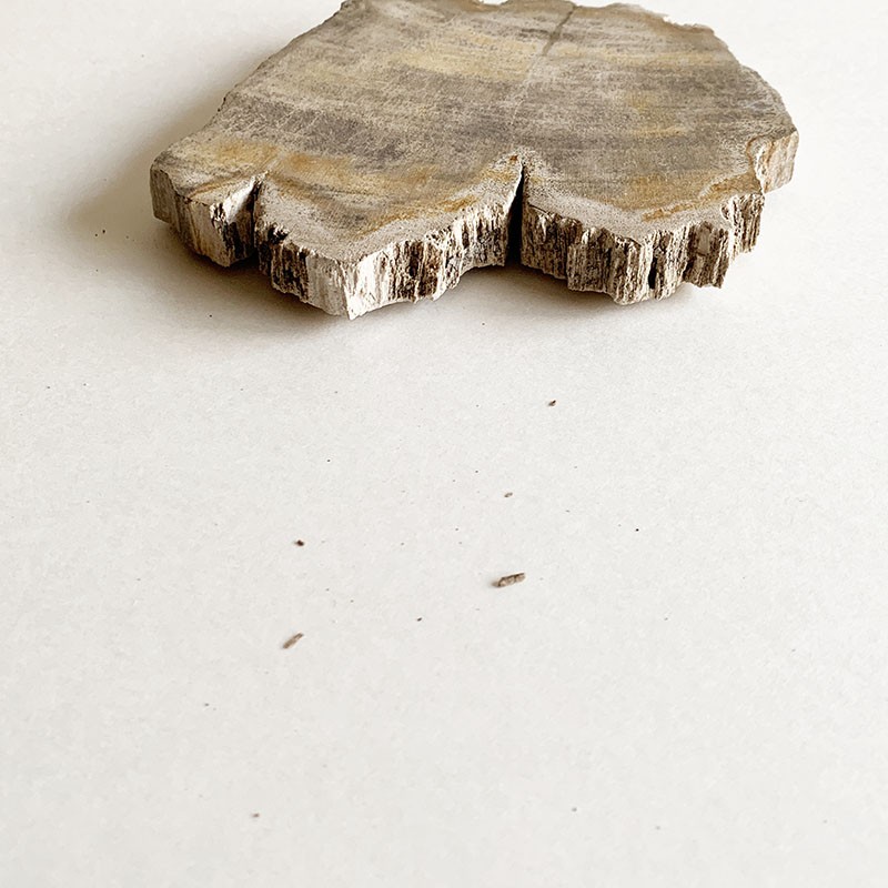 magnet_167452554500.jpg