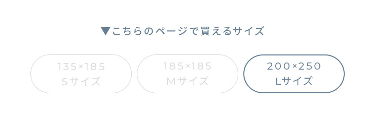 ラグ