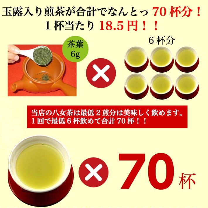 日本製茶 煎茶玉露 170g お茶 水出し緑茶 緑茶 八女茶 玉露入り 煎茶 茶葉 深蒸し茶 日本