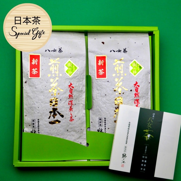 新茶 2023 ギフト お茶 八女茶 2袋セット プレゼント 緑茶 茶葉 日本茶 深蒸し茶 自社農園 人気 法事 お返し 引き出物 贈物 内祝 樹  宅配便 :itsuki-100-2-gift:鵜ノ池製茶ヤフー店 通販 