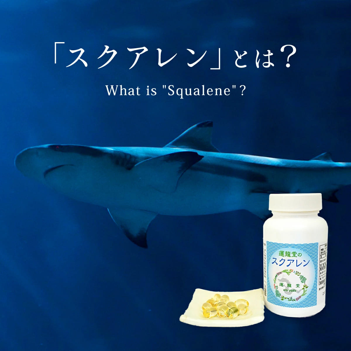 スクアレン 深海鮫 アイザメ ビタミンD 肝油 ドロップ 酵素 善玉