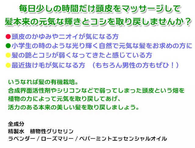 手作り石鹸アンティアンのヘッドスパローションtop