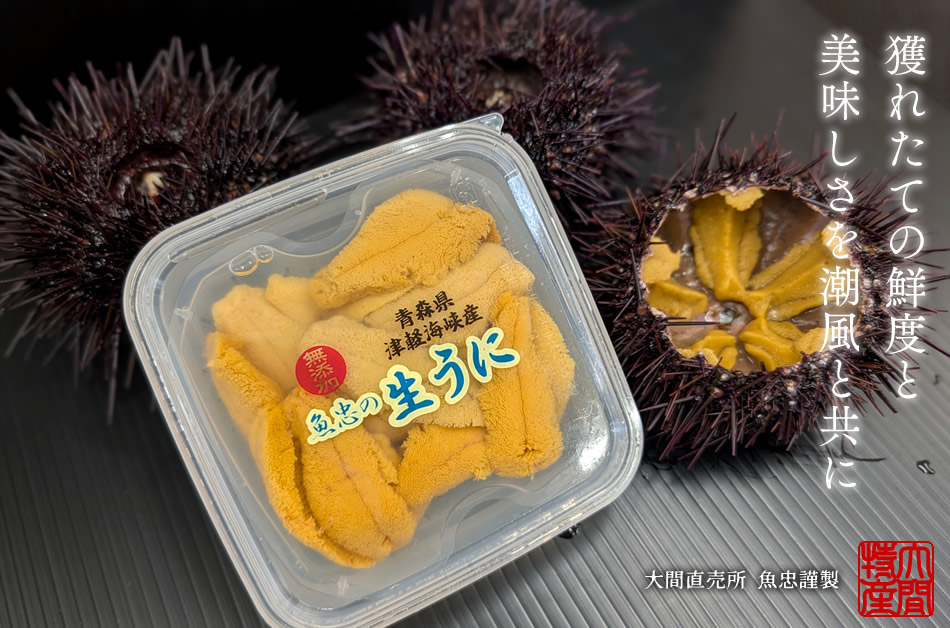 極上生うに＼新物／国産ウニ 塩水漬け70g 最北漁師 魚忠の生うに 最