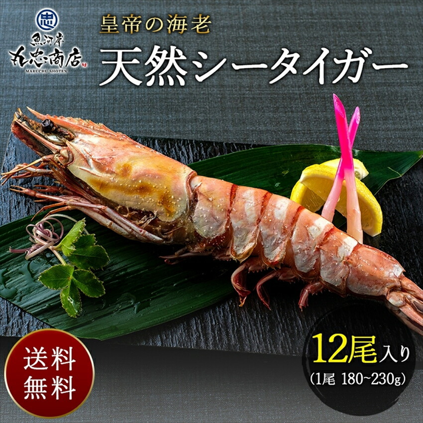 旨みの一杯 小海老天そば アークスオンラインショップ Arcs