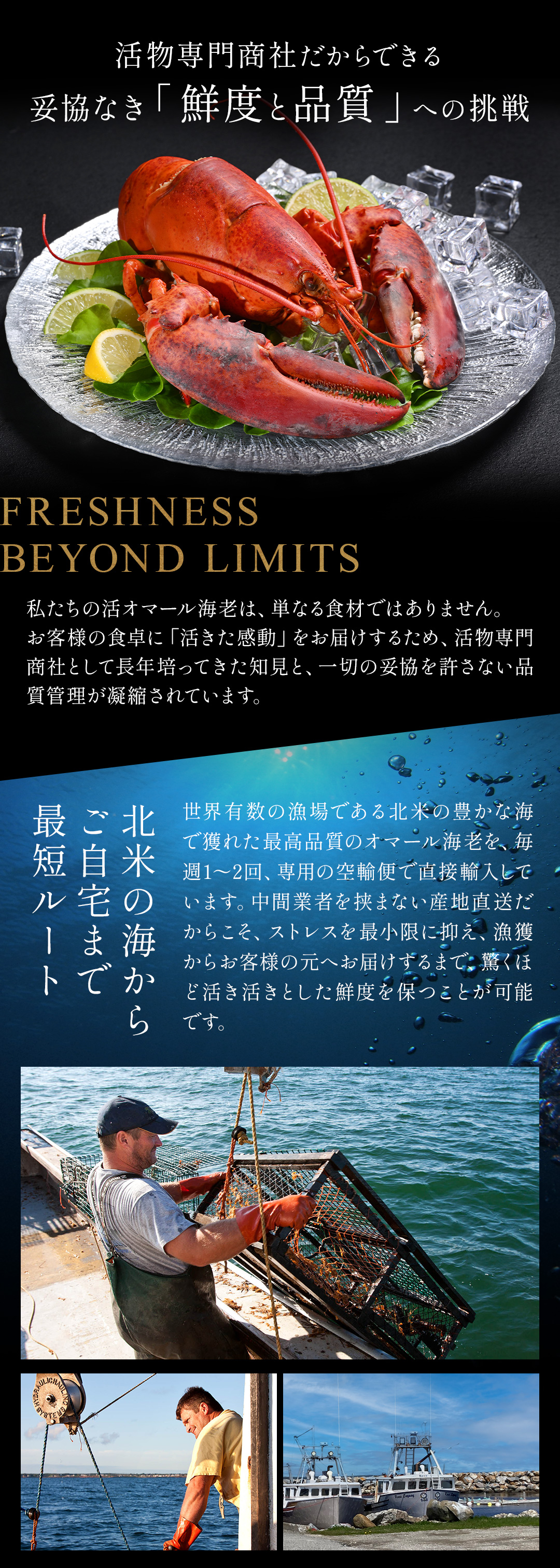活オマール海老