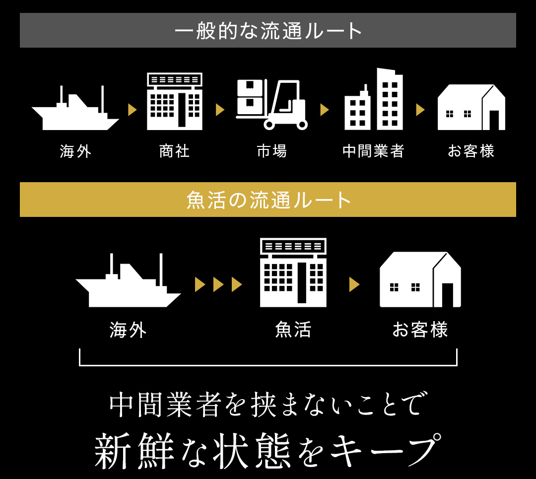 活オマール海老