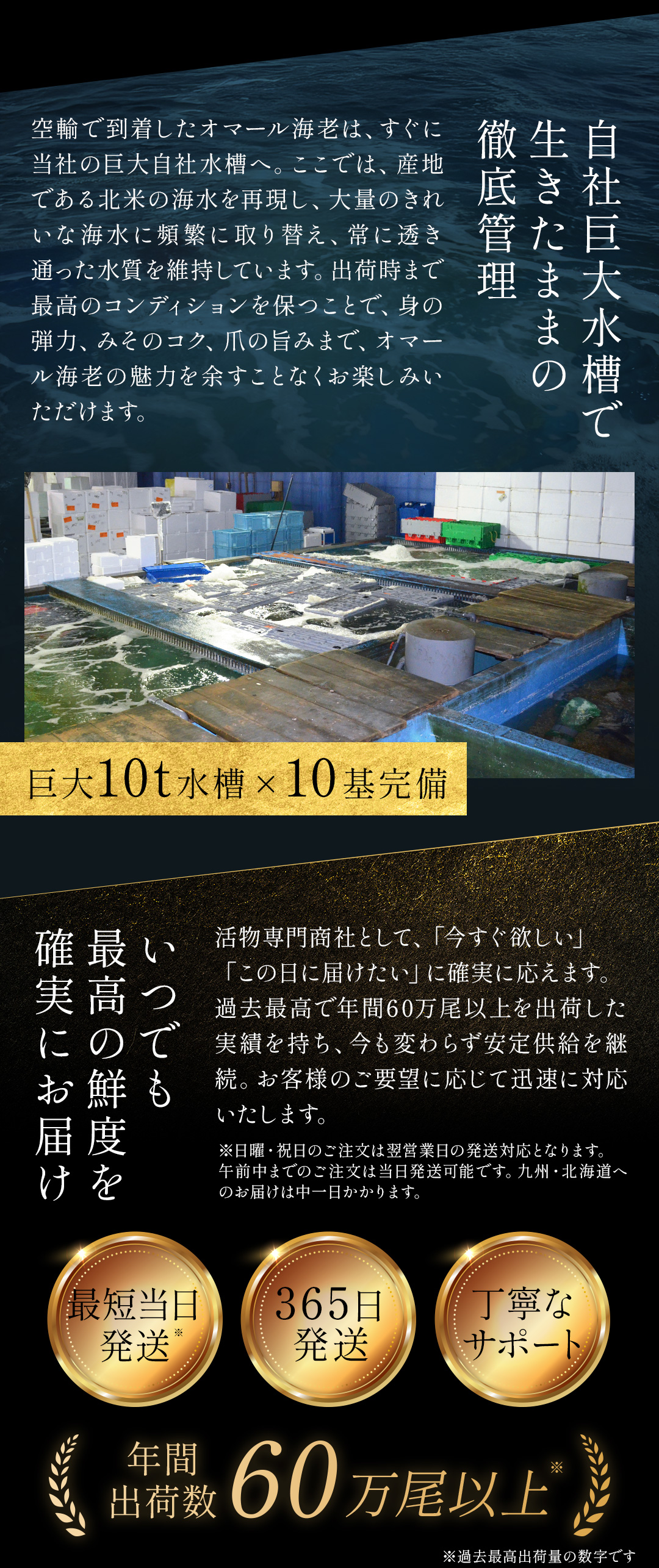 活オマール海老