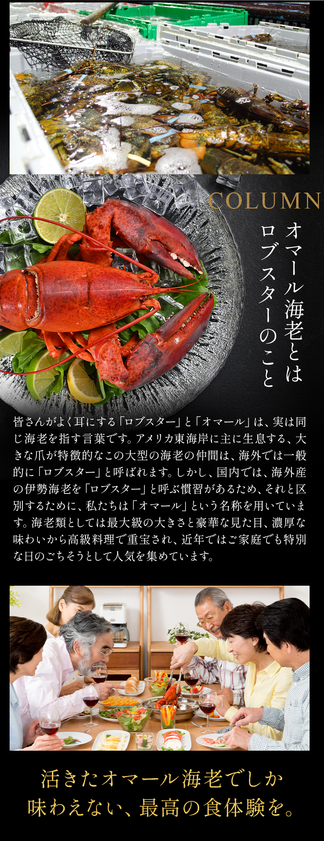 活オマール海老