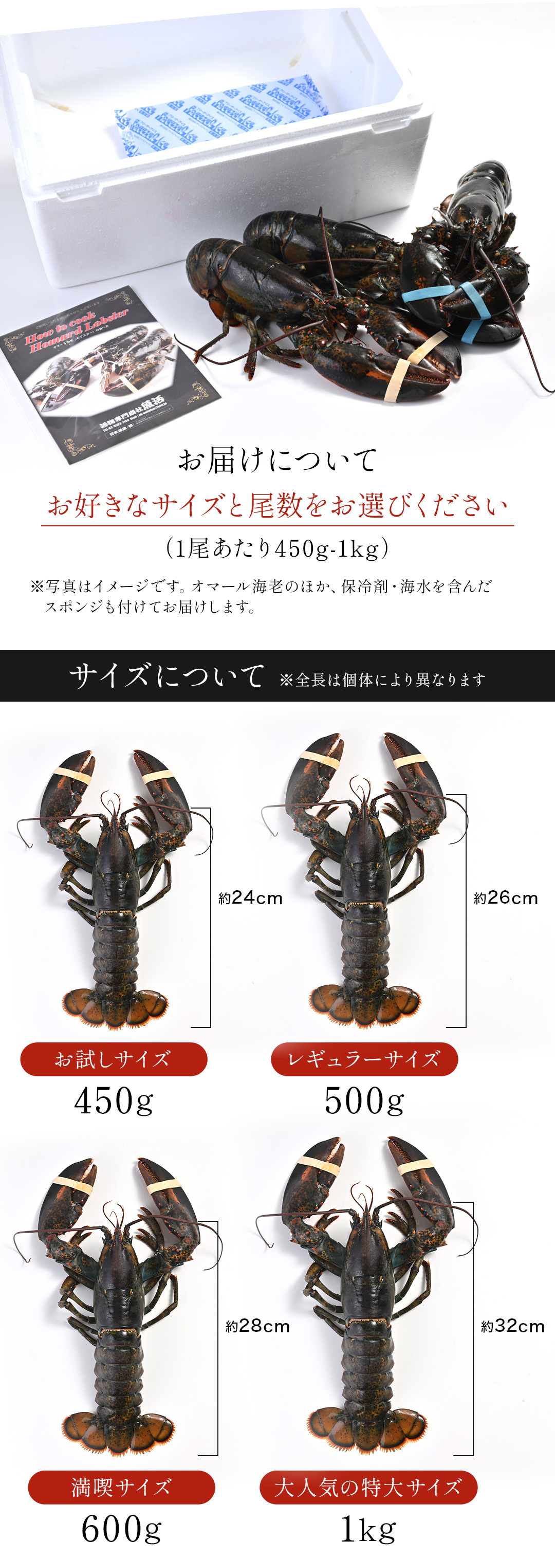 活オマール海老
