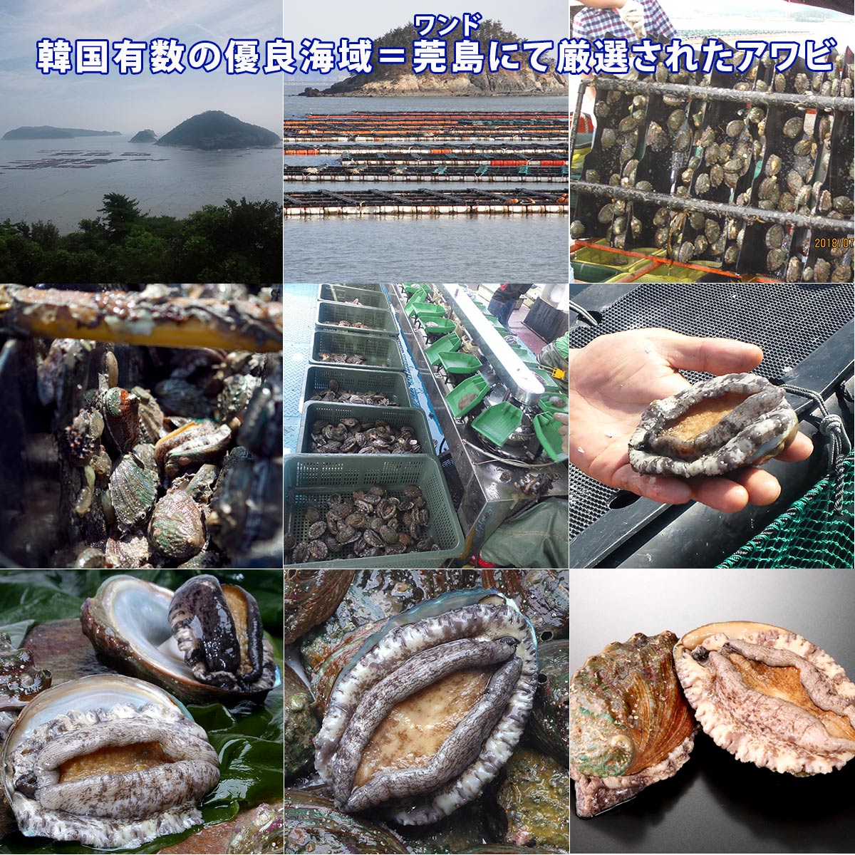 アワビ串