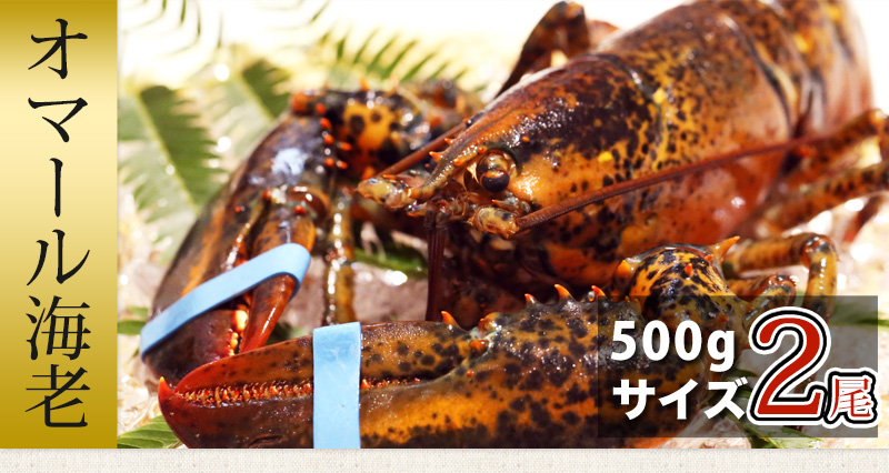 活物お試しセット「活きオマール・活き蝦夷あわび」