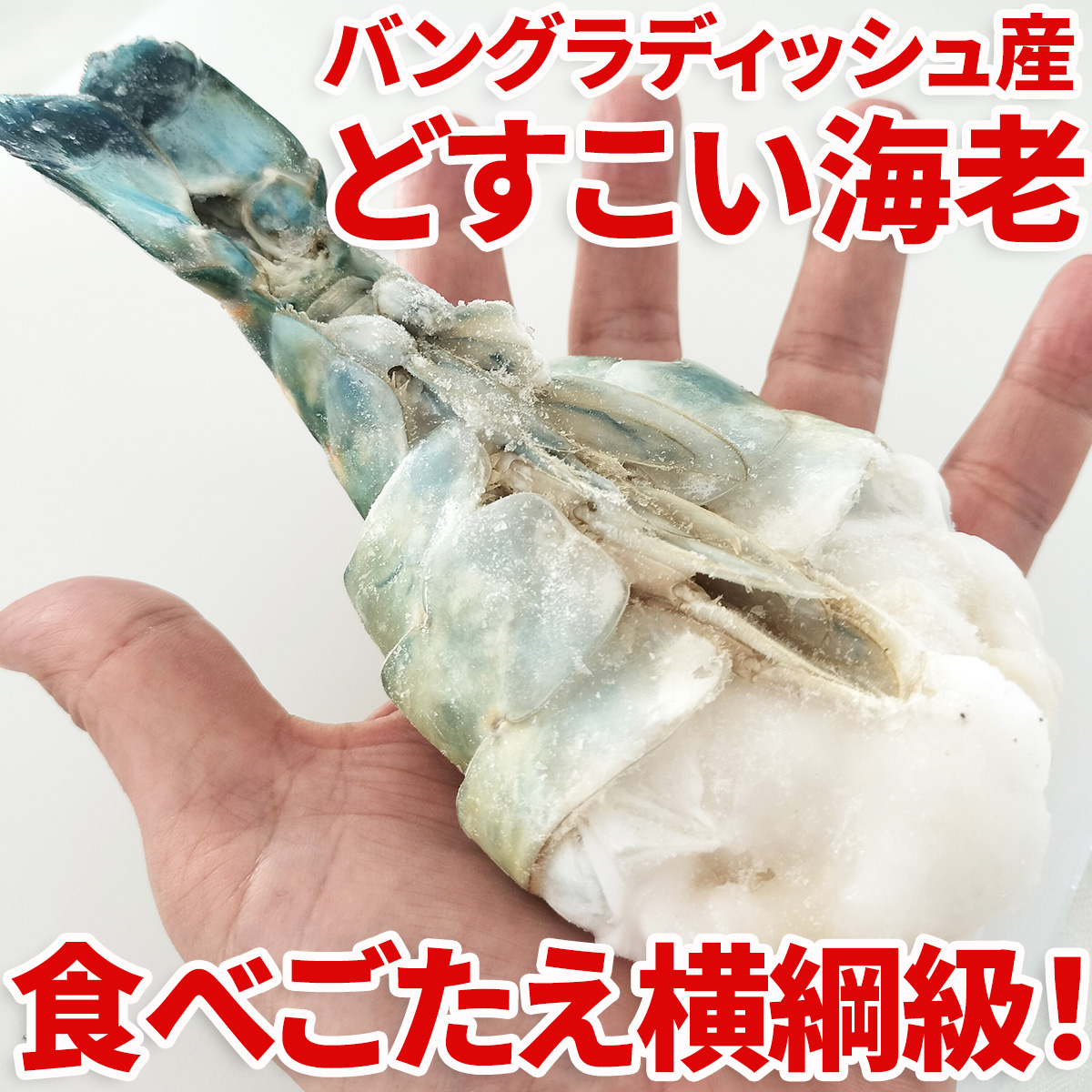どすこい海老