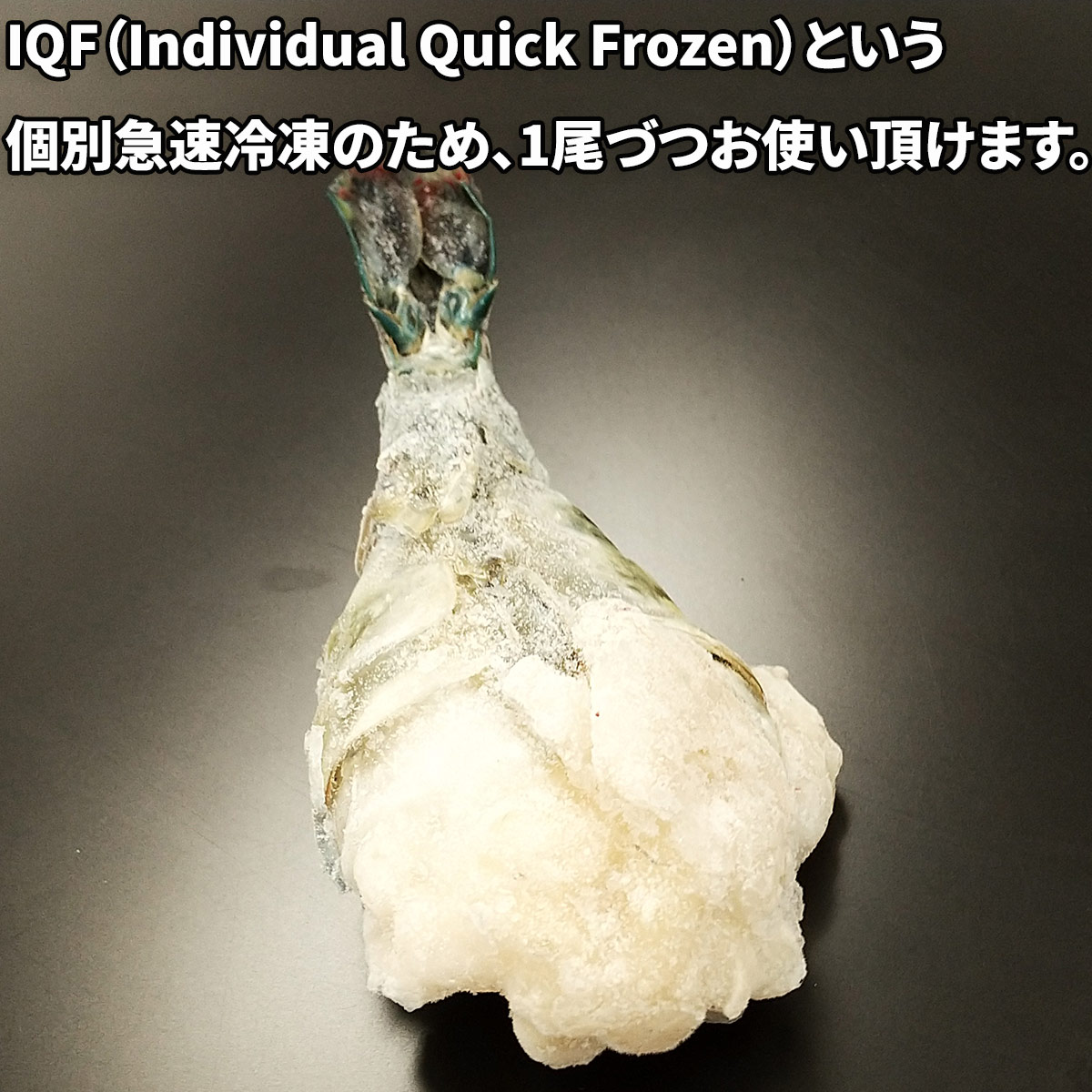どすこい海老