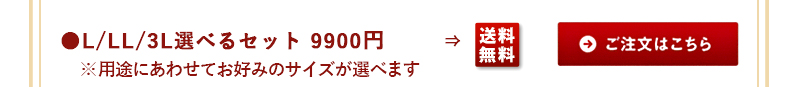 活蝦夷あわび選べるセット