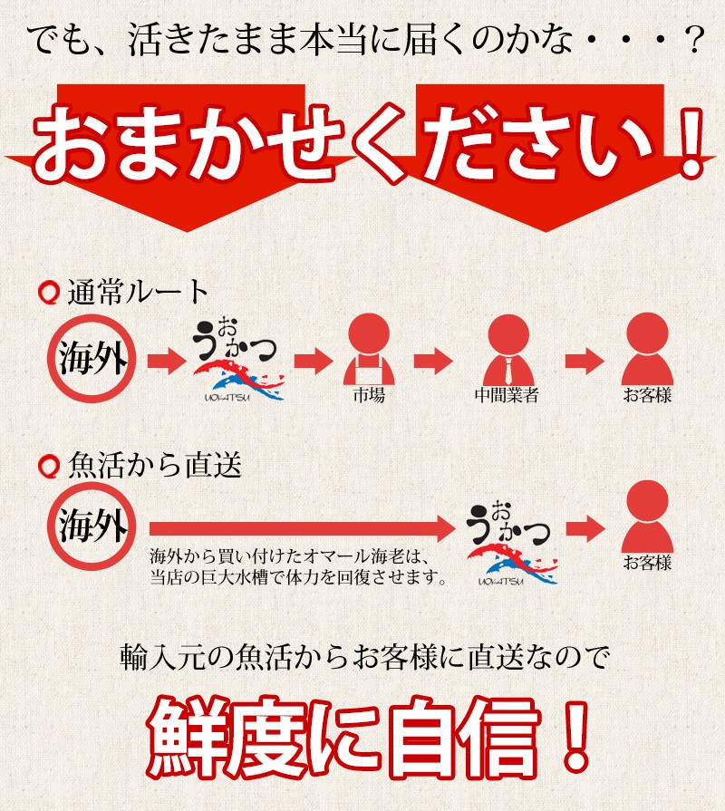 活物お試しセット「活きオマール・活き蝦夷あわび」