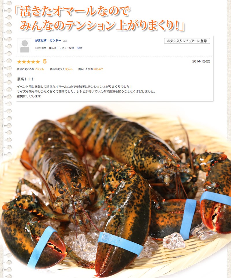 活物お試しセット「活きオマール・活き蝦夷あわび」