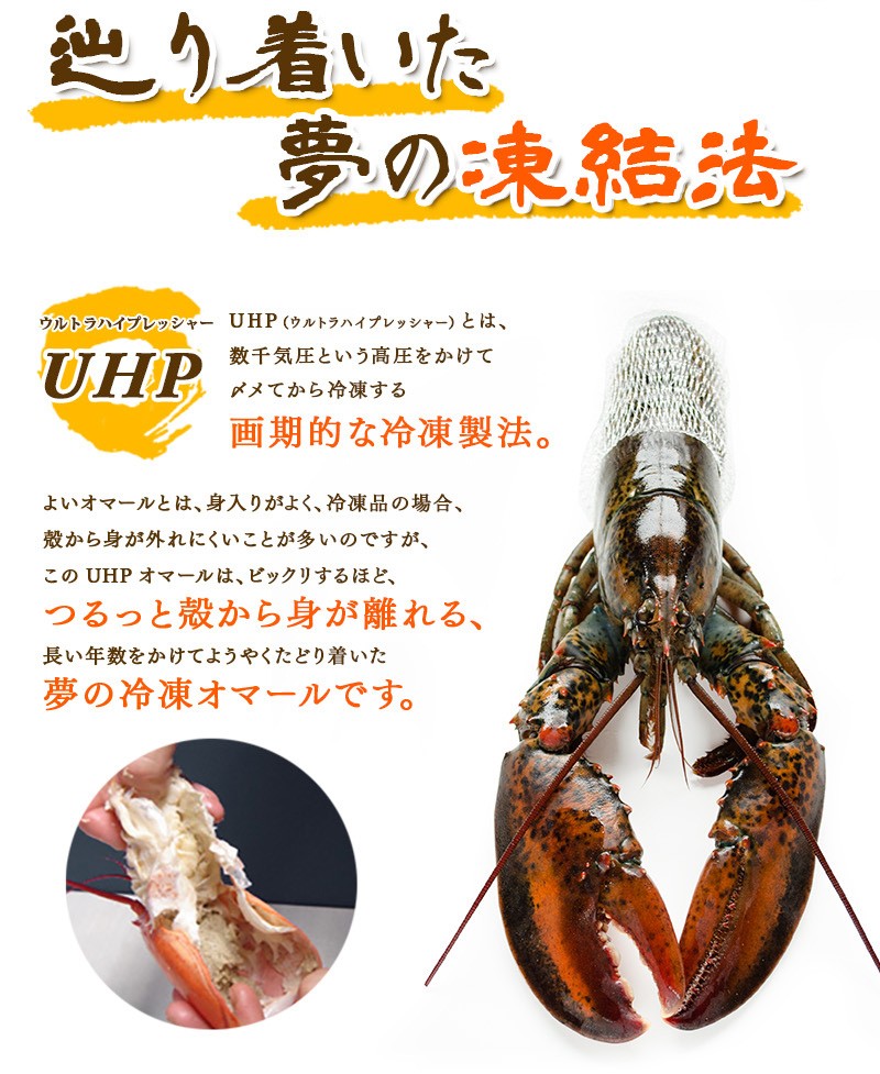 UHP冷凍オマール海老