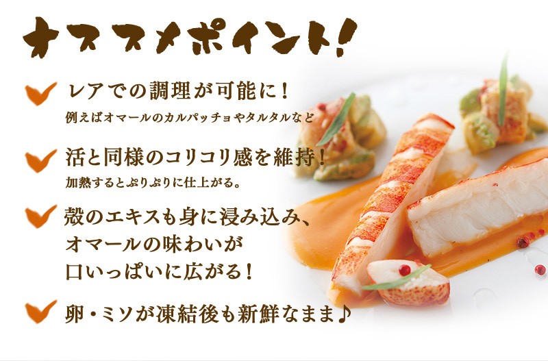 UHP冷凍オマール海老