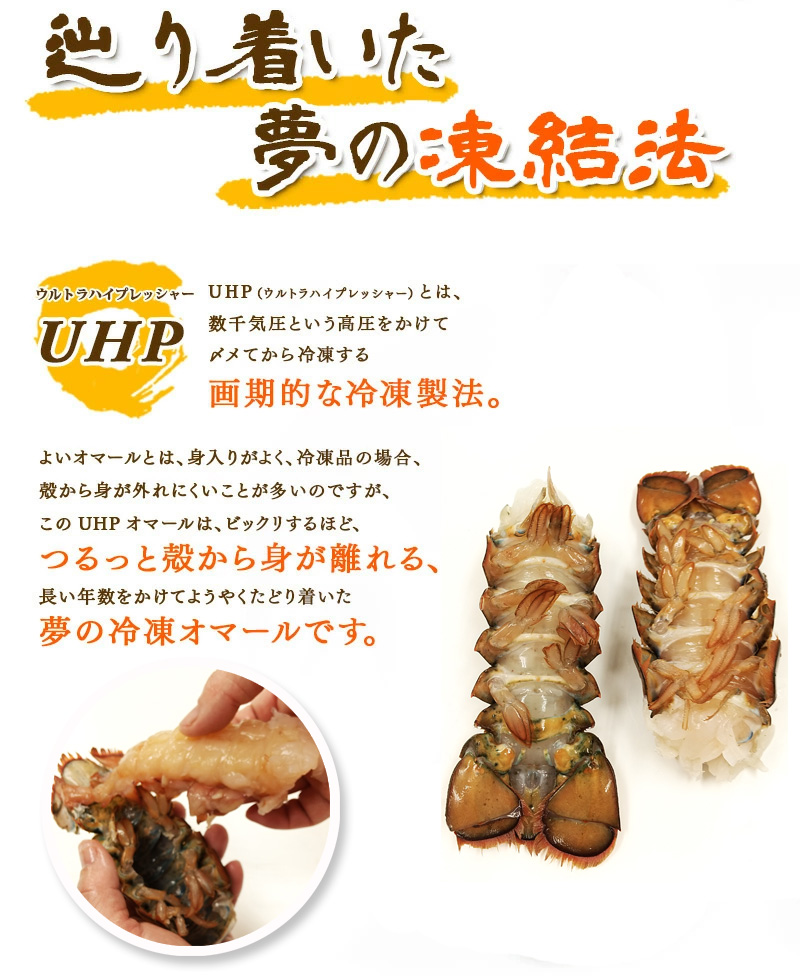 UHP冷凍オマール海老