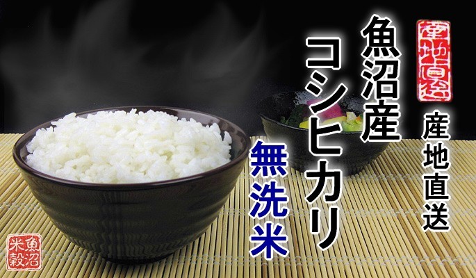 お米 送料無料 コシヒカリ 美味しい魚沼産コシヒカリ 無洗米
